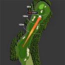 사이프러스 이미지