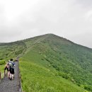푸른 초원의 언덕 - 소백산 비로봉 이미지