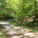 차리경로당 이미지