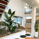 카페 일루아 이미지