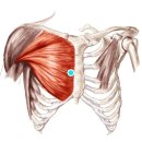 프레스온 이미지