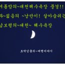 대천해수욕장 야영장 이미지