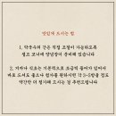 제천 의림지 로컬 맛집 의림지막국수 메밀치킨과 막국수 맛있게 먹는 꿀팁
