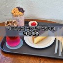 달콤피시 | 여주아울렛 카페 아이와 함께 가기 좋은 수조관 닥터피시 체험 카페해움