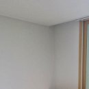 파라시오갤러리 이미지