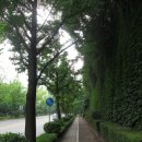 목동동로1길 이미지