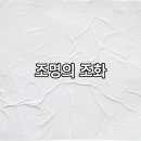 시원공간인테리어