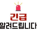 꿈꾸는어린이수학자학원