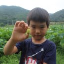 소산농장 이미지