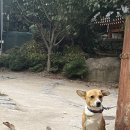 경주한옥펜션 계림궁 이미지