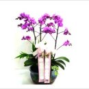 삼광카서비스 이미지