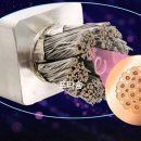 신성산업테크(주) | 신성델타테크, 513억 현금의 숨은 의도와 초전도 생태계 구상