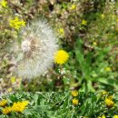 모래벌농장 이미지