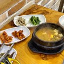 철마우림