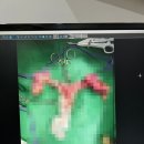 일산 클래식 동물병원 이미지