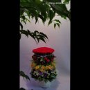 가고파부동산공인중개사사무소 이미지