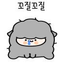 아주카센타 이미지