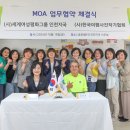 평화지국 이미지