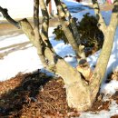 제내농장 이미지