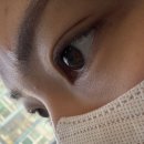 2768 | 강릉 속눈썹펌 잘하는 곳 찾는다면? '미니샵' 속눈썹펌 후기