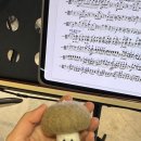 비바체음악학원 | [3주차/합주] 심포니 세 기수면 풍월을 읊는다 - 메리오케스트라 청춘 11기 심포니 비올라 후기