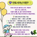 현대메디칼약국 이미지