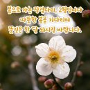 20대 후반 같으시네요 이미지