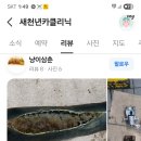 현대기아 카클리닉 이미지