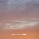 너로 물들다