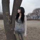 쿄이