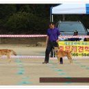 화수초등학교 이미지