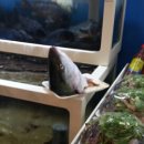 방학동도깨비시장 이미지