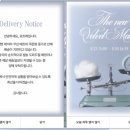 경포17호 | 포트레 벨벳 레이어 쿠션•강민경 쿠션 | 17호, 21호 발색비교 내돈내산 찐리뷰 ✨ 할인정보 👇🏻