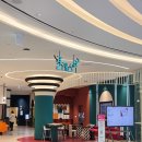 스타필라테스 | 수원 스타필드 클래스콕 임산부 산전 필라테스 후기, 임신 중기 추천 클래스