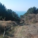 새천년공원길 이미지