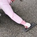 충남예술고등학교 - 1695 | 충남예술고등학교