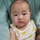 하얀어린이집 | 아기 유아 구내염 빨리 낫는법 증상 원인 치료 약 연고 어린이집 전염
