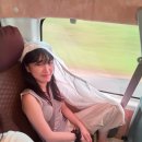 늘기쁜약국 | 🇦🇺 2월 호주[1]_시드니