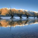 Luminous value 이미지