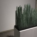 문화예술회관 제1전시실 이미지