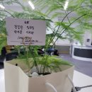 천안옛날호두과자북천안IC입장점 | 천안호두과자는 어디서 사야할까 - 찐맛집 내돈내산 맛집 옛날호두과자북천안IC입장점