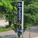 퍼피 앤 퍼피(PUPPY & PUPPY) 이미지