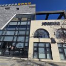 조아독 | 속초 애견호텔 추천｜여행 중 강아지 맡기기 좋은 곳 ‘조아독’ 내돈내산 솔직 후기