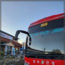 오성골