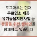 도그마루 동물병원 이미지
