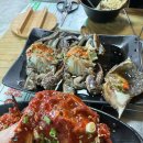나들이손칼국수