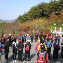 내고향 청도면 요고리 죽바위산 이미지