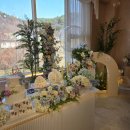 수원-1221 | 루엘파티플레이스 델피늄홀 돌잔치 후기 - 소규모로 편하게 끝낸 내돈내산 리뷰