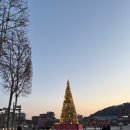용성장식