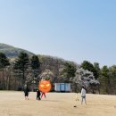 금원수목원수영장 이미지